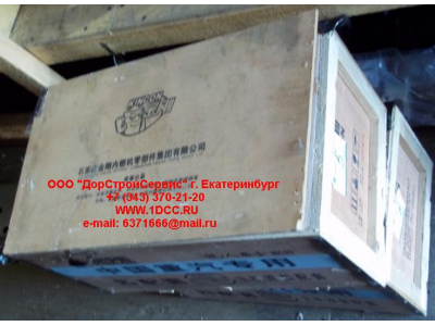 Поршневая группа WD615.87 290л.с. (6 гильз, 6 поршней (0010), 6 пальцев, комплект колец) H2 HOWO (ХОВО) VG2600030010 фото 1 Череповец