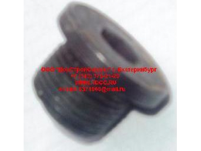 Пробка крышки бортового редуктора М22х1,5 H HOWO (ХОВО) 190003961309 фото 1 Череповец