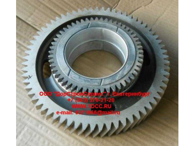 Шестерня привода распредвала промежуточная WP12 SHAANXI / Shacman (ШАНКСИ / Шакман) 612630030040 фото 1 Череповец