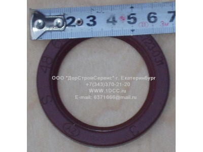 Сальник 48х65х6,2 H HOWO (ХОВО)  фото 1 Череповец