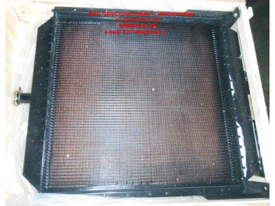 Радиатор охлаждения двигателя CDM 855EK Lonking CDM (СДМ) CDM855EK.01I.04 фото 1 Череповец