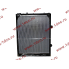 Радиатор WP12 SH SHAANXI / Shacman (ШАНКСИ / Шакман) DZ95259532203 фото 2 Череповец