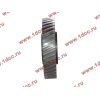 Шестерня привода распредвала промежуточная WD615/WP10 HOWO (ХОВО) VG1560050053/61560050053 фото 3 Череповец